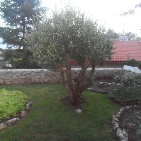 Apartman Ana